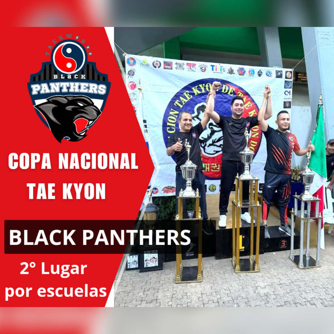 Black Panthers Taekwondo