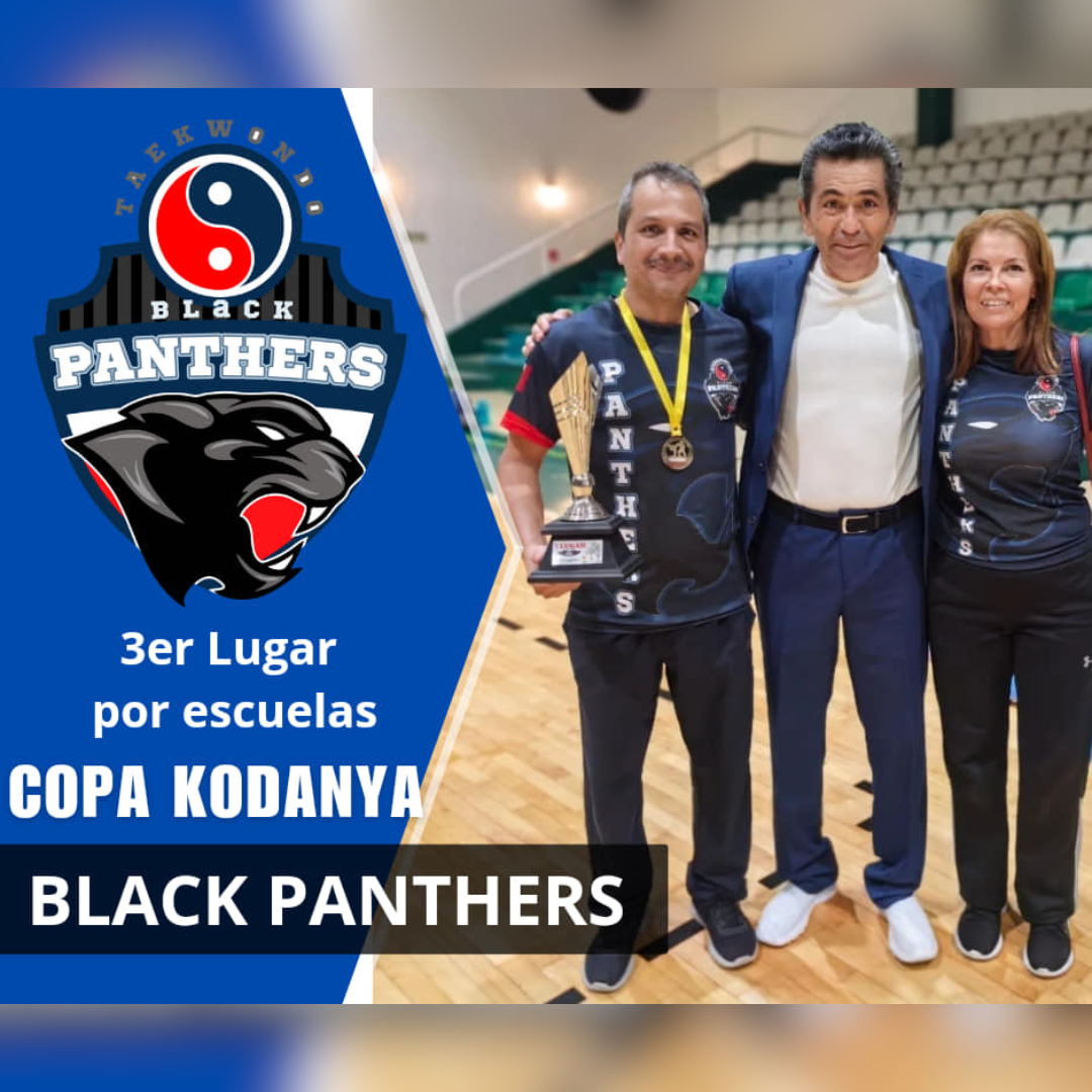 Black Panthers Taekwondo