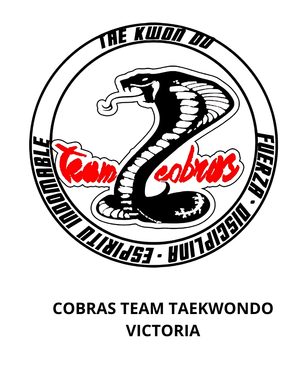 PROMOCIONES TAEKWONDO MÉXICO