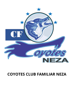 PROMOCIONES TAEKWONDO MÉXICO