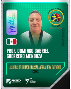 ACADEMIAS DE FORMACION MARCIAL AMERICAN TEAM TAEKWONDO