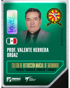 COLEGIO DE INSTRUCCION MARCIAL DE TAEKWONDO 