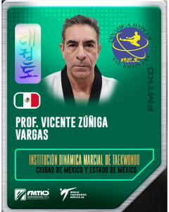 INSTITUCION DINAMICA MARCIAL DE TAEKWONDO