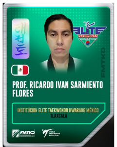 INSTITUCION ELITE TAEKWONDO HWARANG MEXICO 