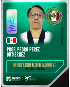 INSTITUTO BEKTUSAN MEXICO DE TAEKWONDO AC