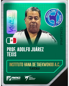 INSTITUTO HANA DE TAEKWONDO AC