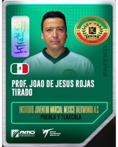 INSTITUTO JUVENTUD MARCIAL MEXICO TAEKWONDO AC