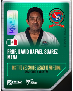 INSTITUTO MEXICANO DE TAEKWONDO PROFESIONAL

