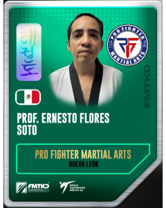 PRO FIGHTER MARTIAL ARTS 