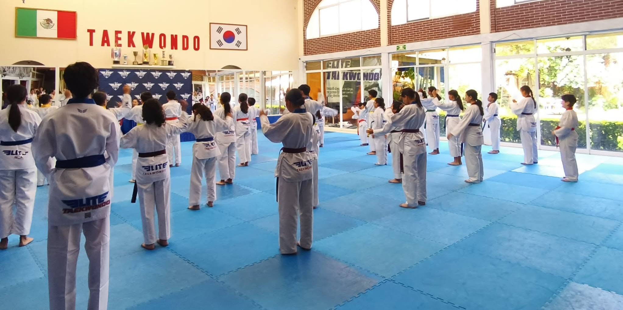 Alumnos entrenando en Elite Taekwondo Hwarang
